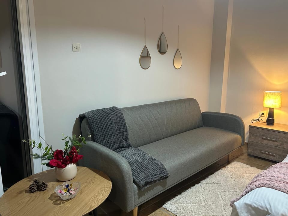 Living room, Photo of the whole room, Seating area