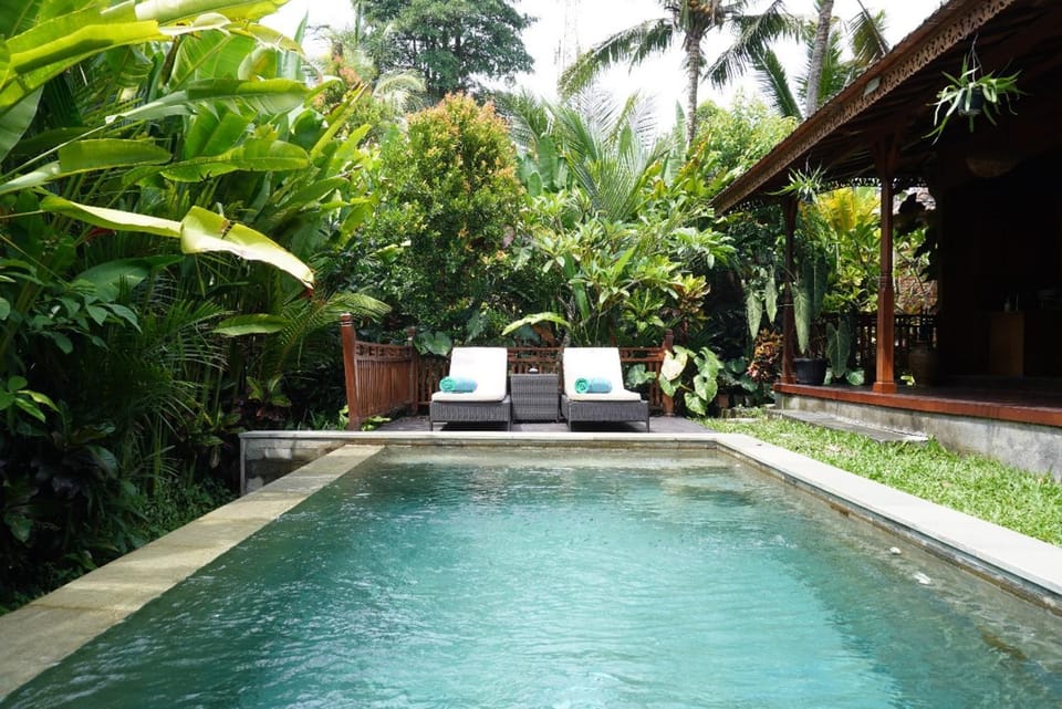 Spring, Day, Natural landscape, Garden, Garden view, Pool view, Pool view, Swimming pool, Swimming pool, sunbed
