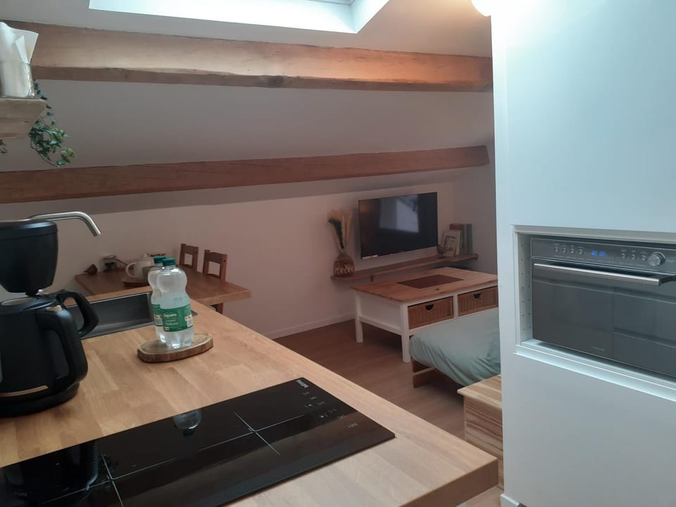 Maison Bienlabas Apartment in Mérignac