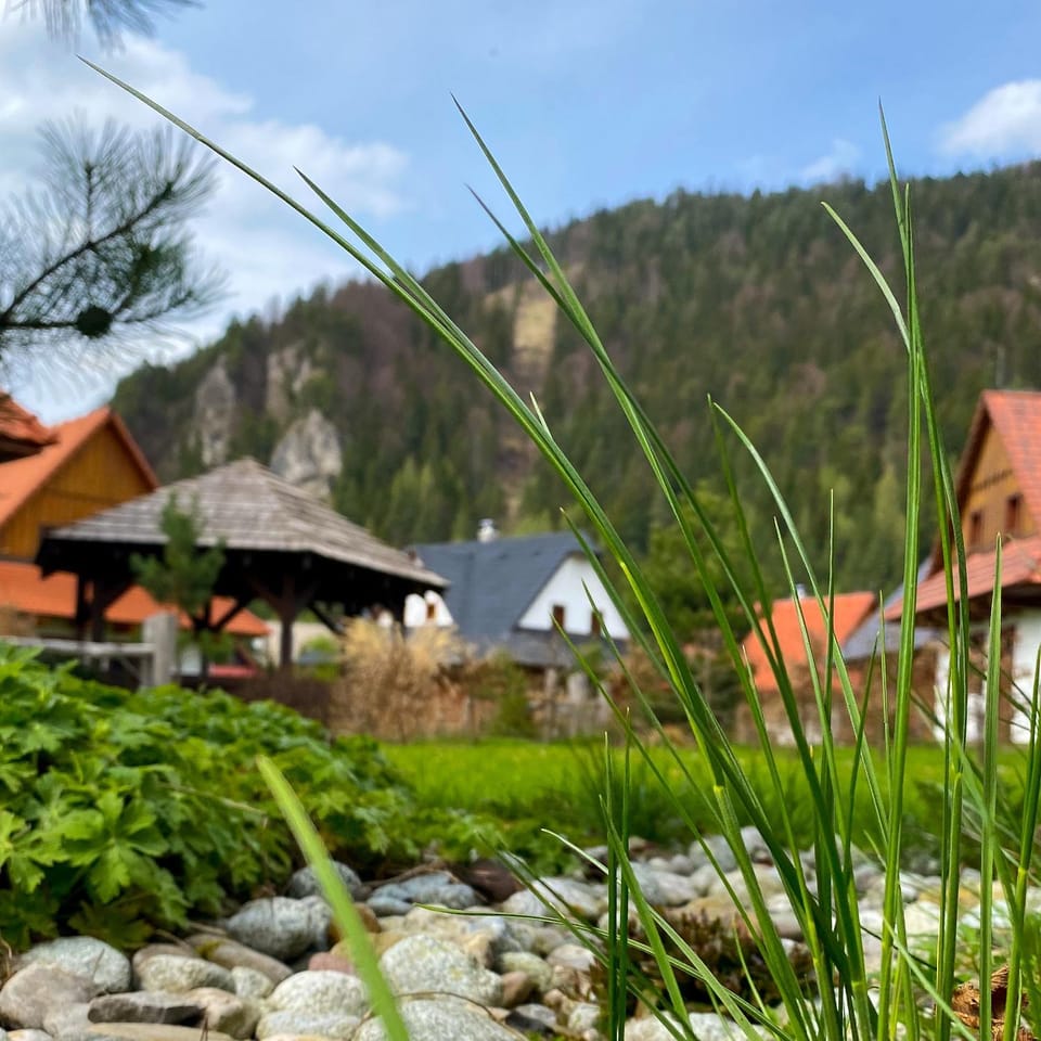 Natural landscape, Garden