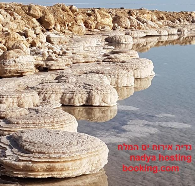 Nadia Hosting Dead Sea Nature lodge in South District