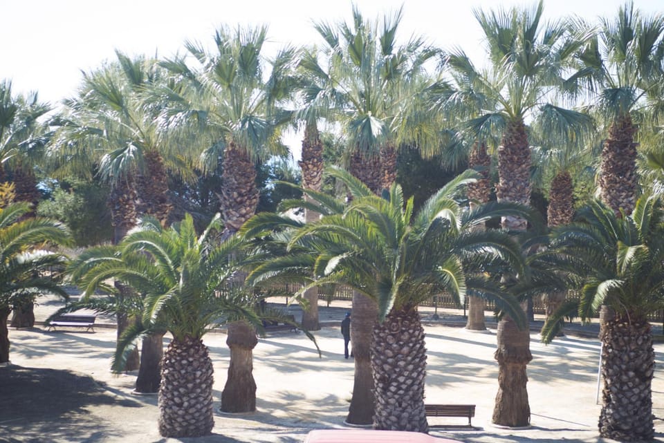 Garden view, Sea view