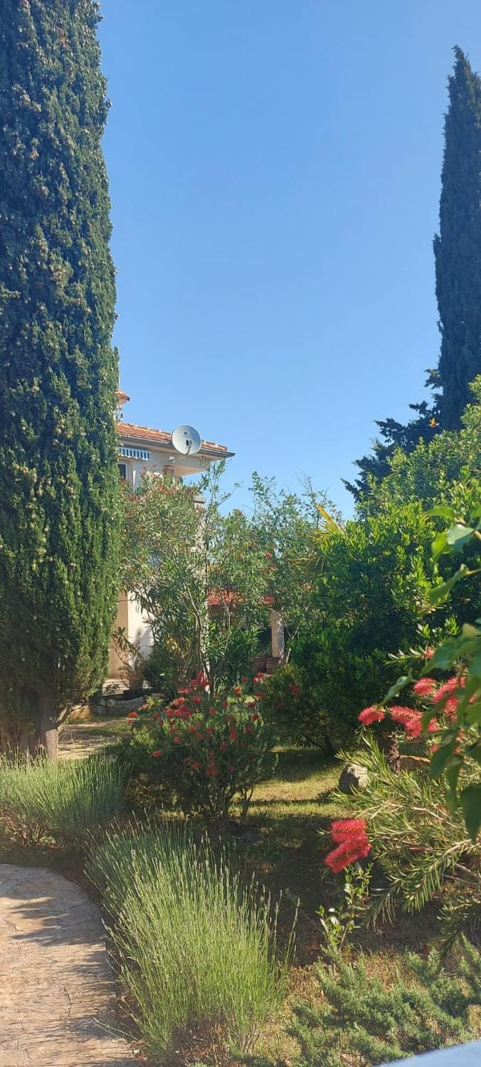 Day, Natural landscape, Garden view