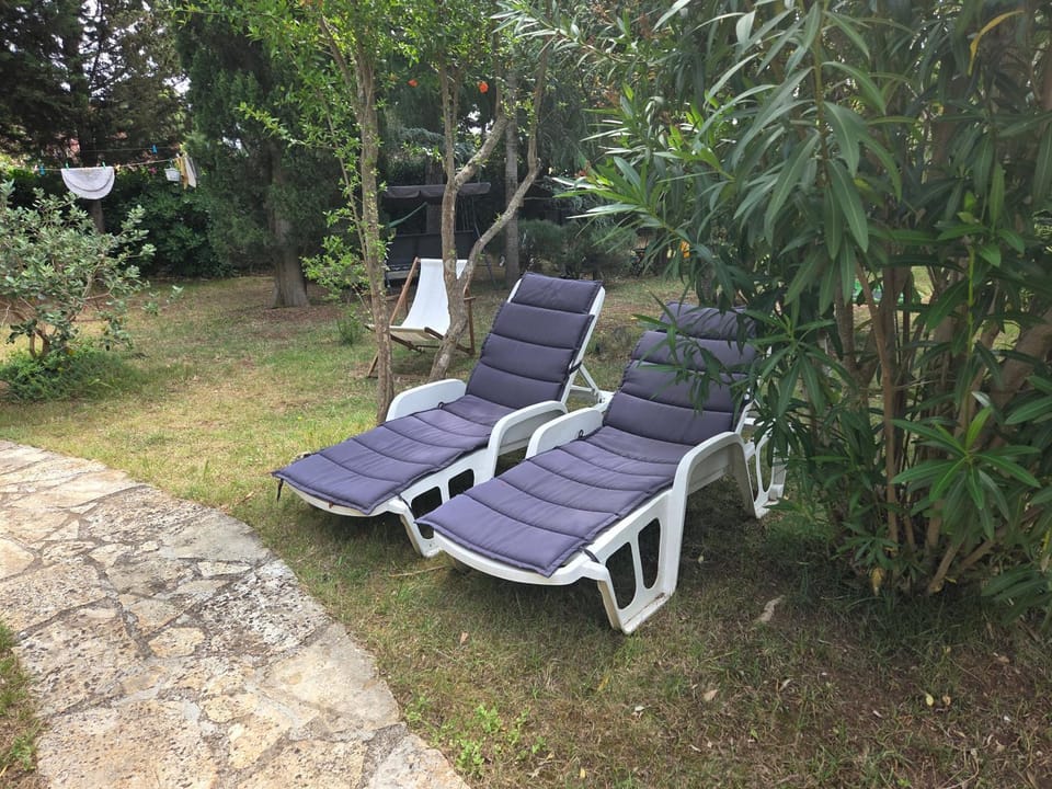 Garden, Garden view, sunbed