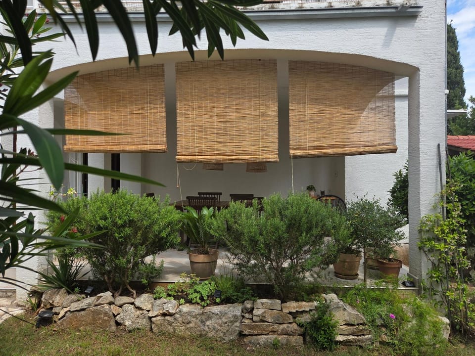 Property building, Day, Garden view