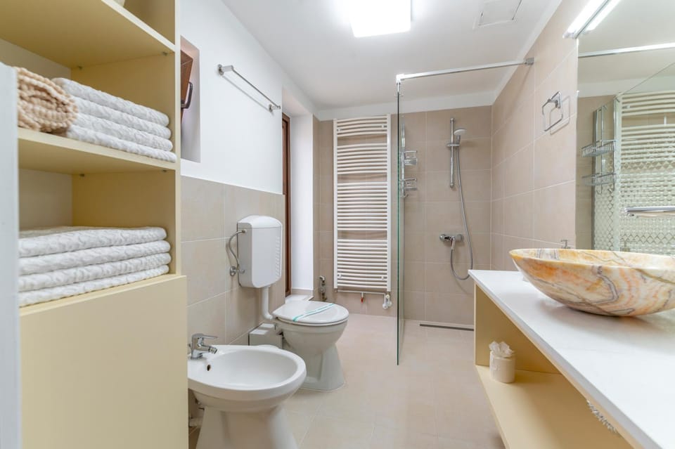 Shower, Toilet, Bathroom, bidet, towels