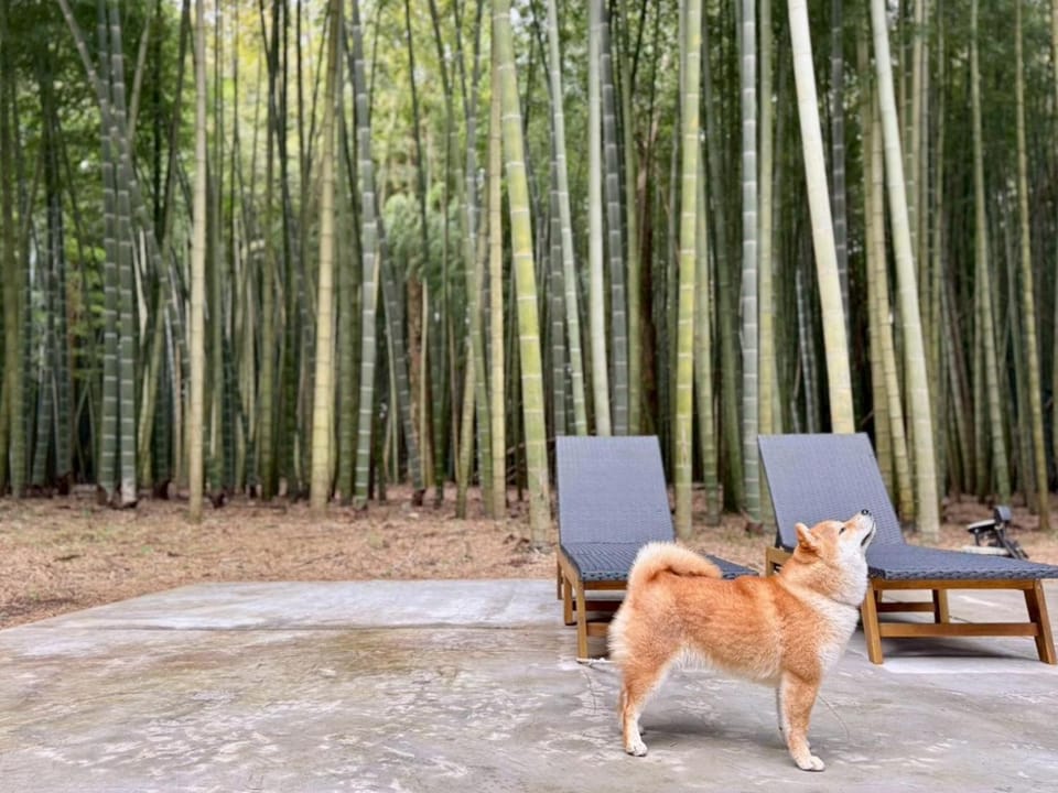 and FOREST Katsuura Take no Hanare - Vacation STAY 91561v House in Chiba Prefecture