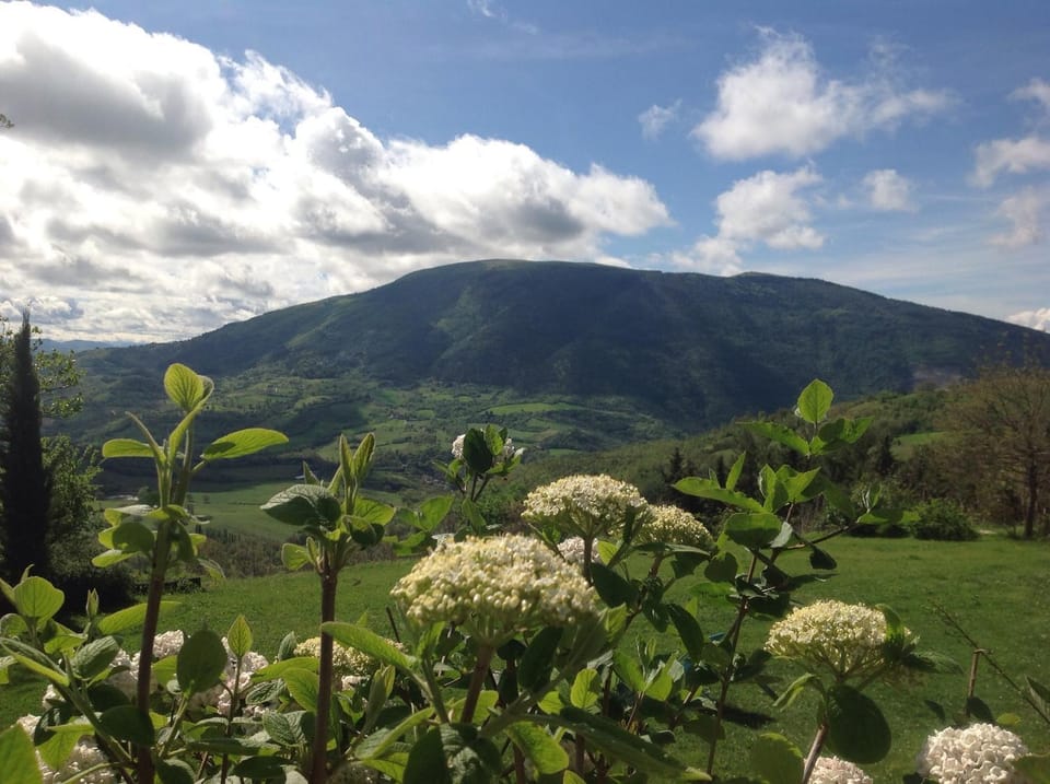 Natural landscape