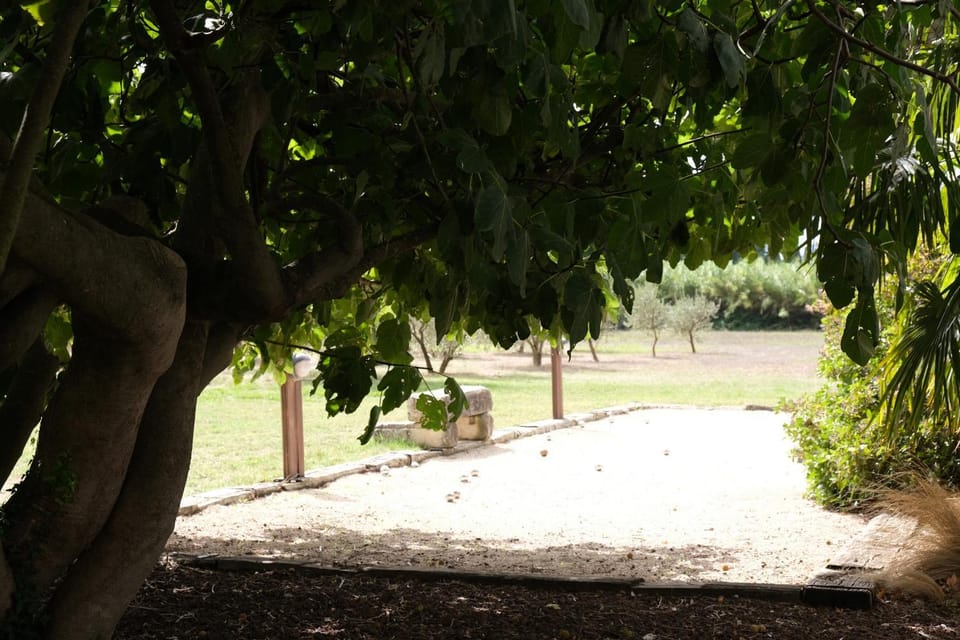 Patio, Garden, Garden view