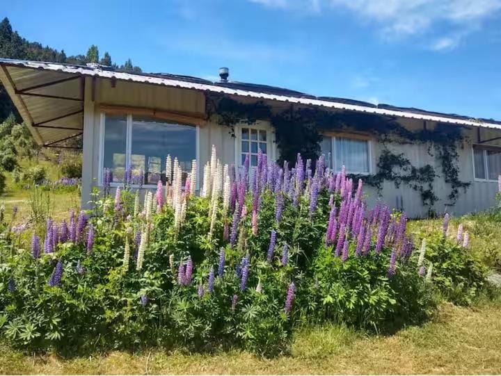 Garden, Garden view