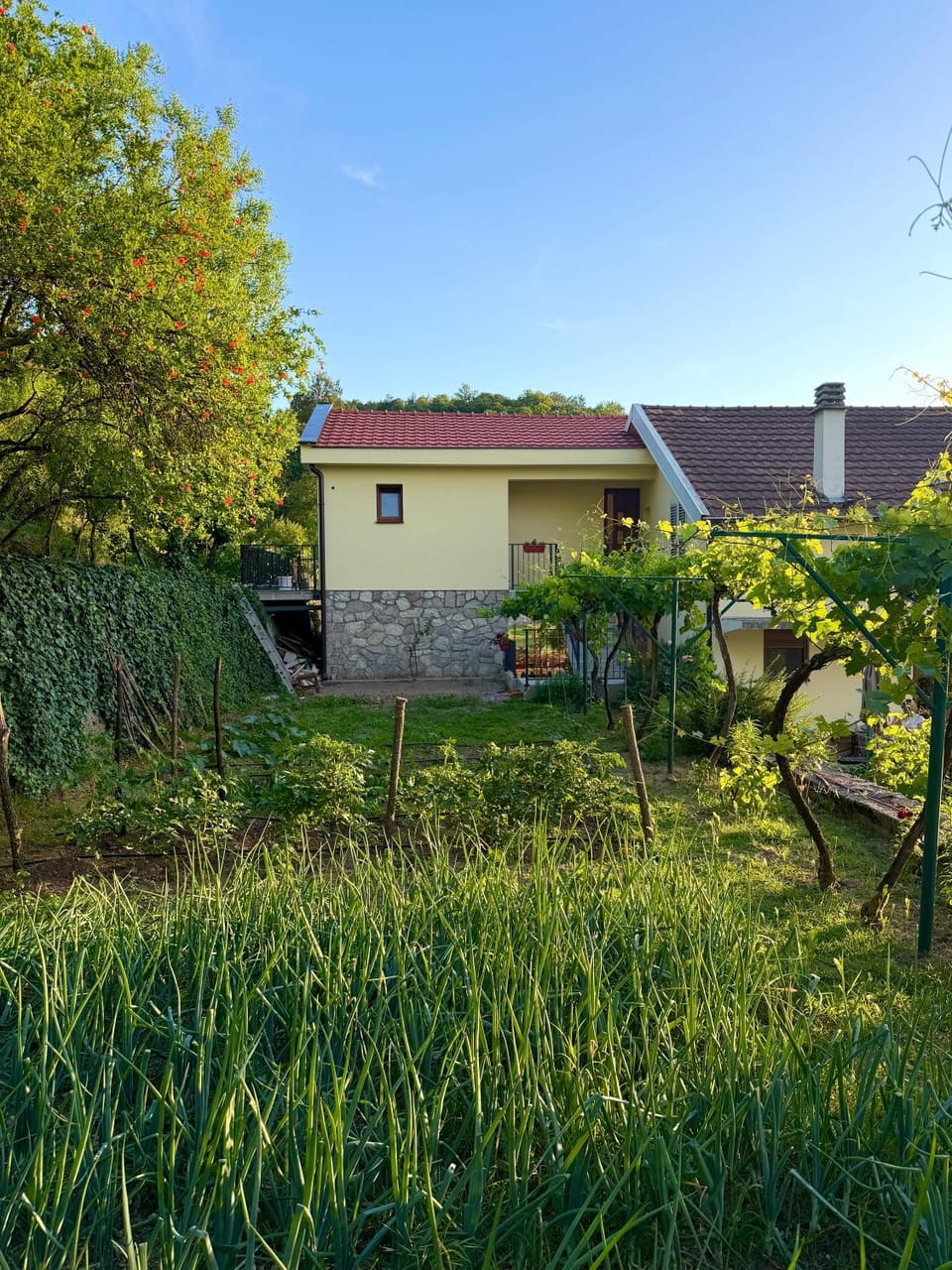 Country House Djurisic Country House in Podgorica Municipality, Montenegro