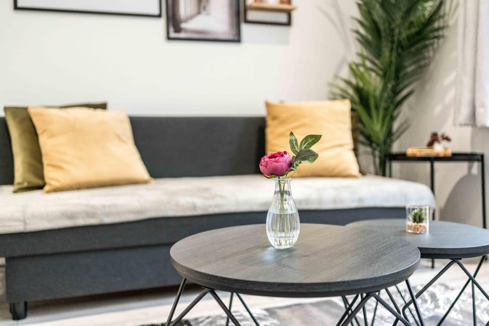 Shower, TV and multimedia, Living room, Seating area, Dining area, hair dryier, heating, pet friendly, safe, towels, wardrobe