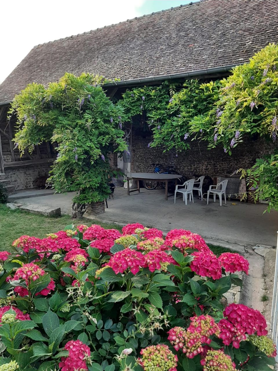 Garden view