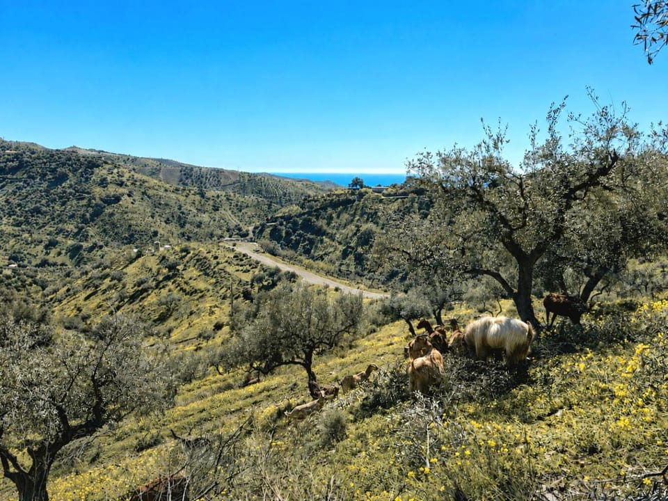 Amazing Spanish Casa with Sea View, 30 min from Málaga Villa in Axarquía