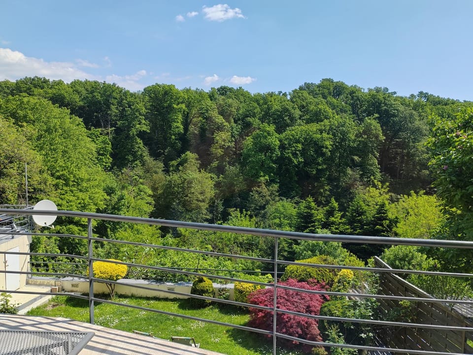 View (from property/room), Balcony/Terrace, Garden view
