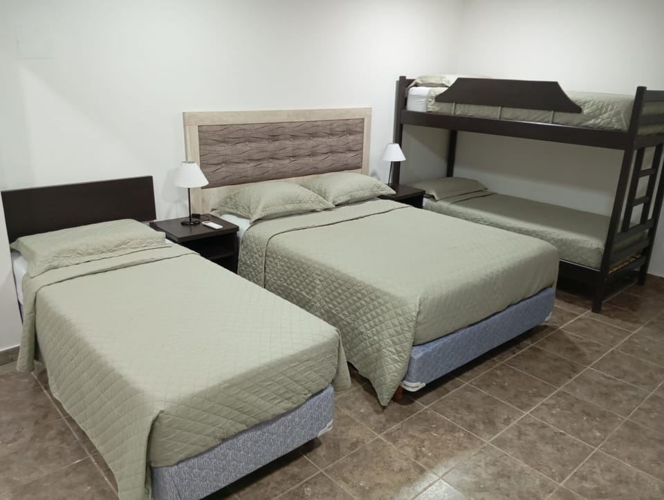 Bed, Photo of the whole room, Bedroom, bunk bed