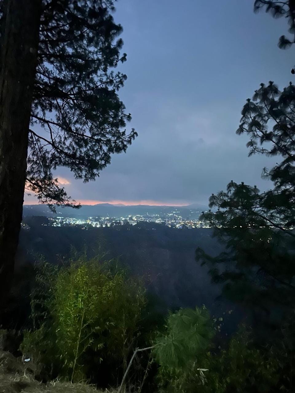 View (from property/room)