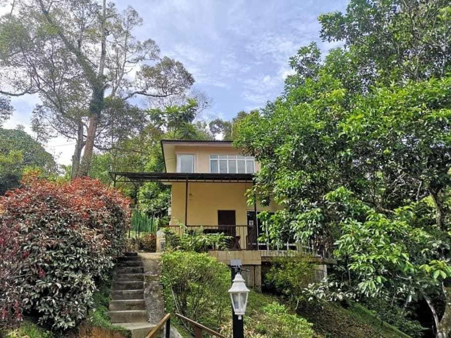 Property building, Natural landscape