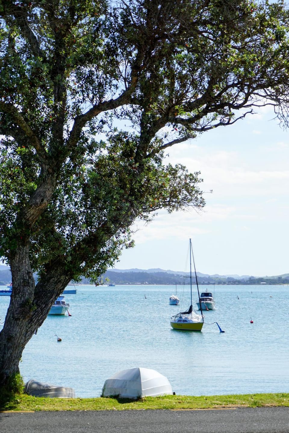 LAST ON THE STRAND, RUSSELL - The NEST House in Northland
