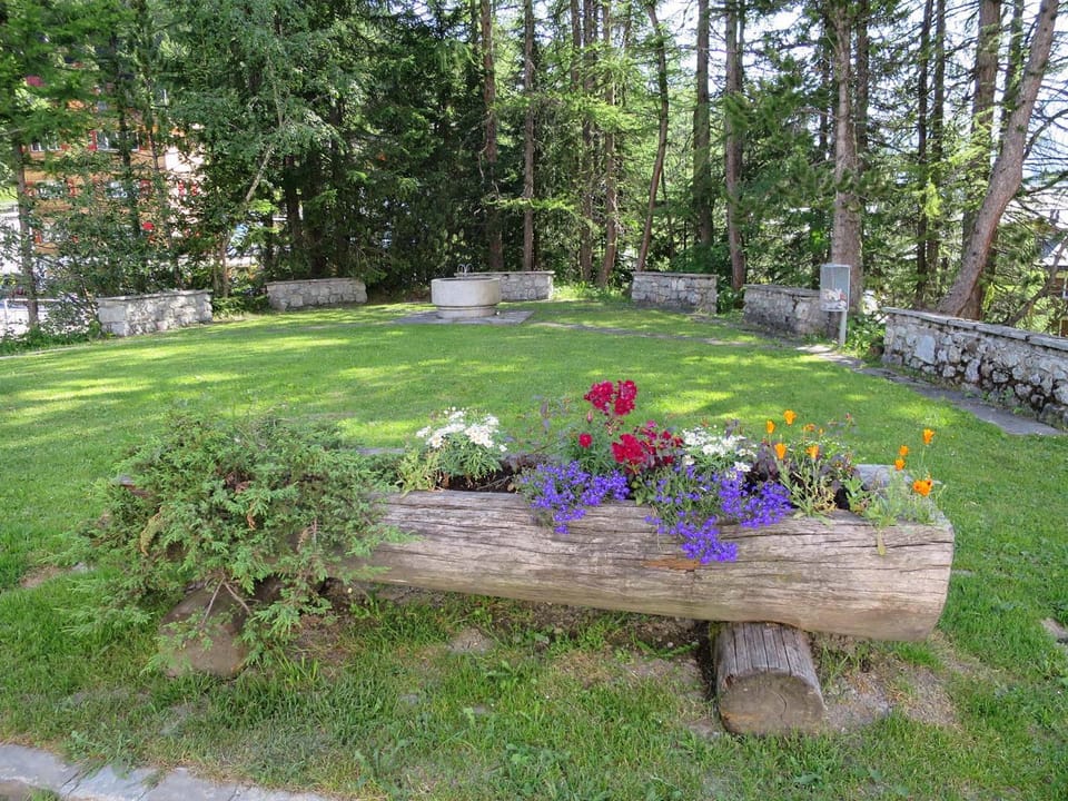 Property building, Garden view