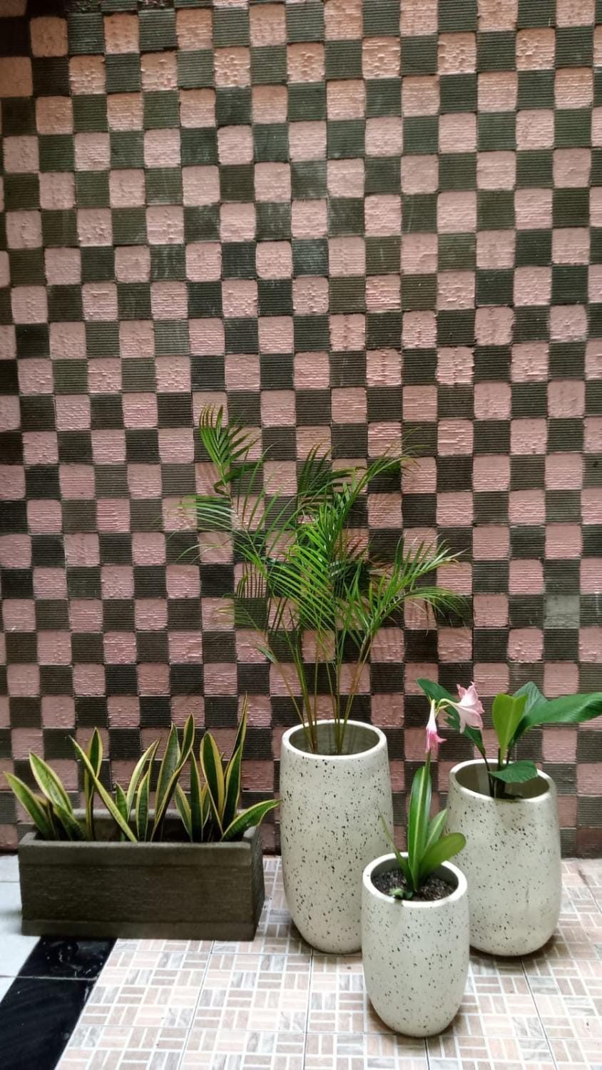 Day, Garden, Garden view