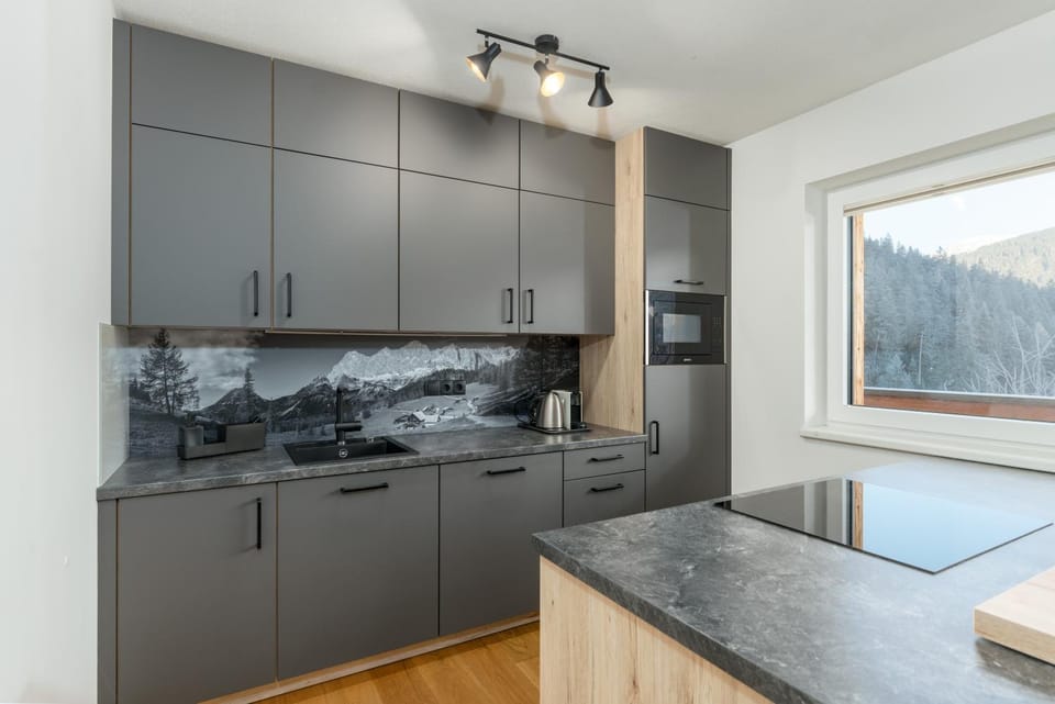 Kitchen or kitchenette, dishwasher, stove