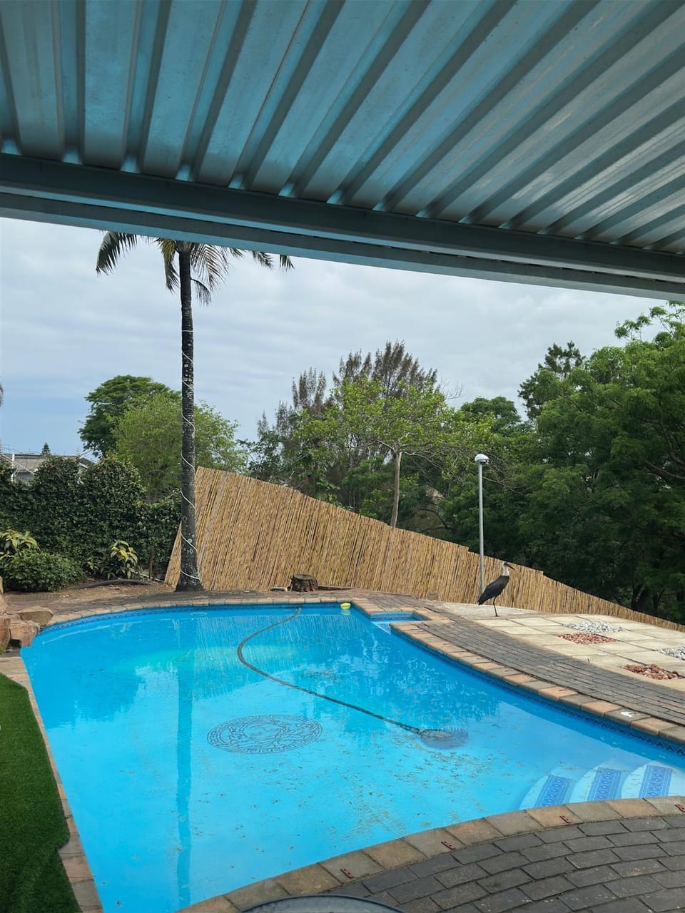 The Azania Lux Villa in Durban