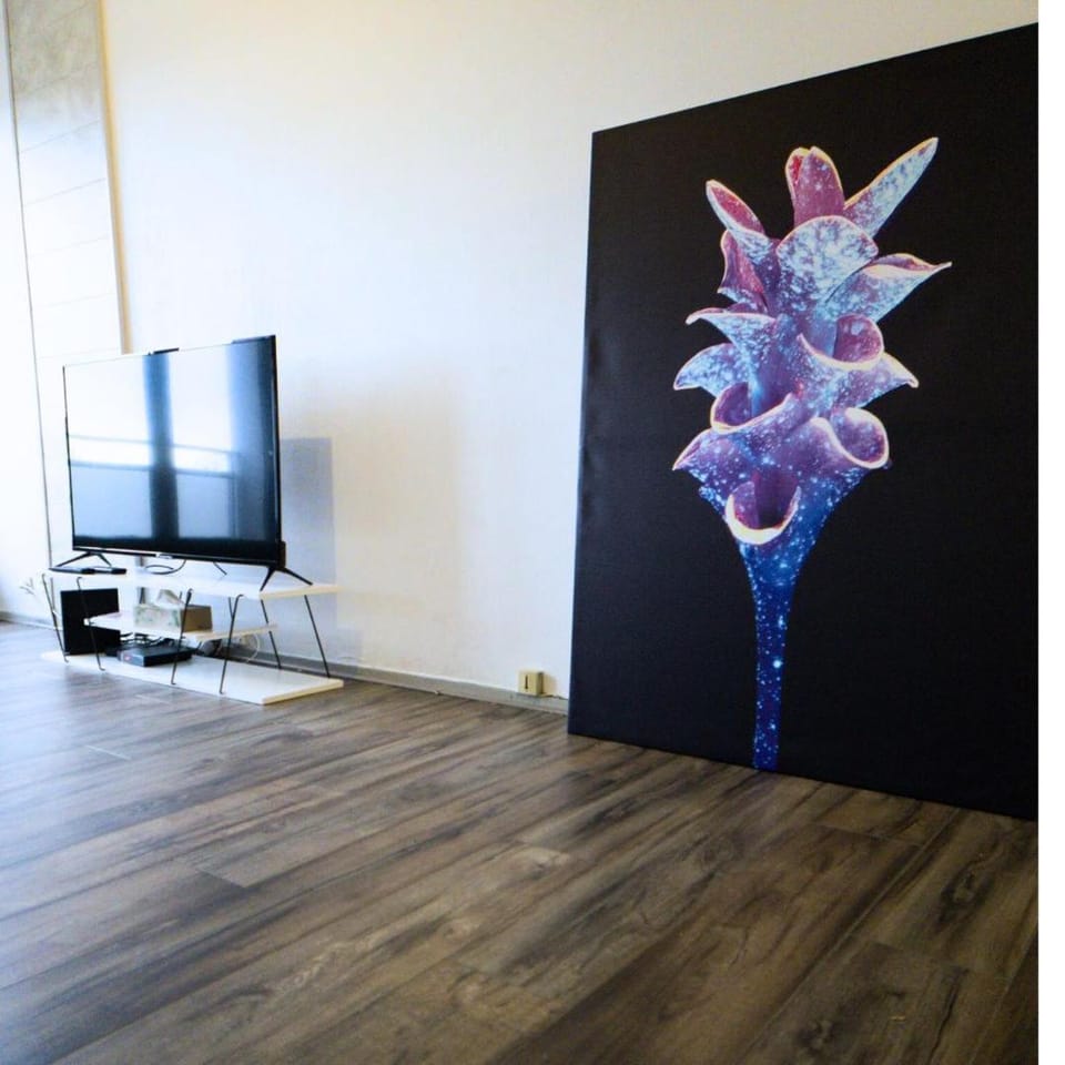 Belle vue appart Apartment in Saint-Louis