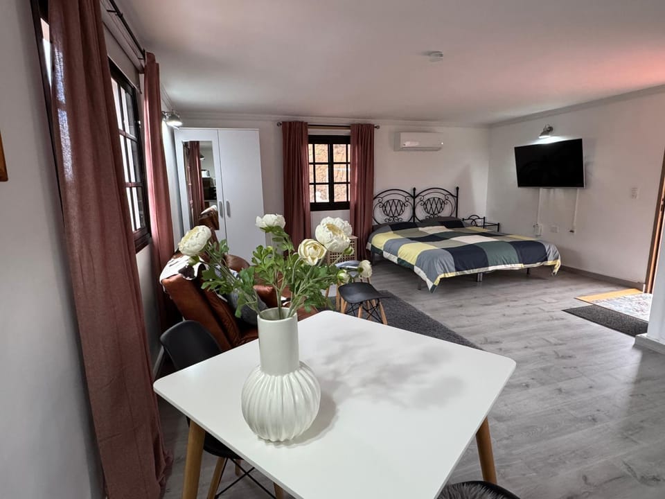Bed, TV and multimedia, Seating area, Dining area