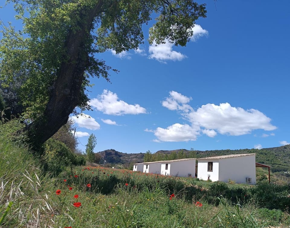 Casas Natura Suites Graus House in Catalonia