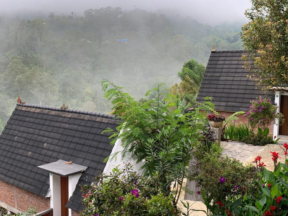 Natural landscape, Garden, Mountain view