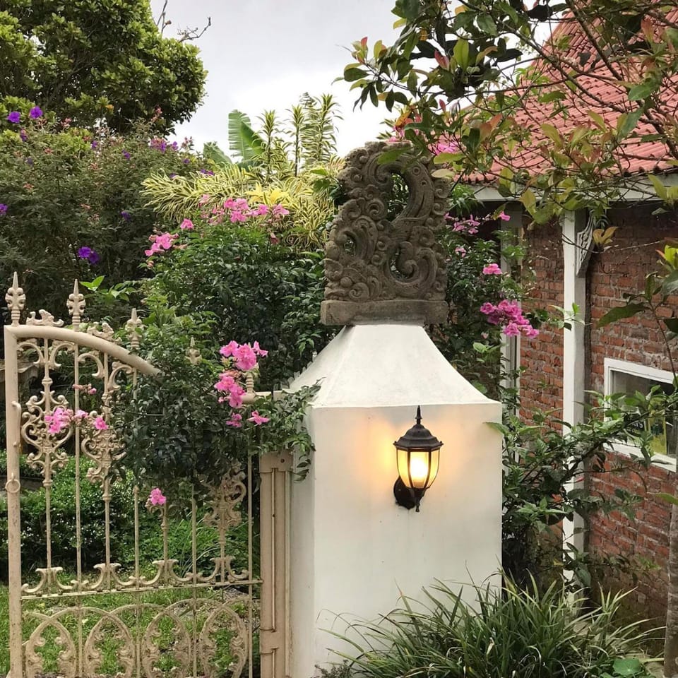 Spring, Day, Garden view