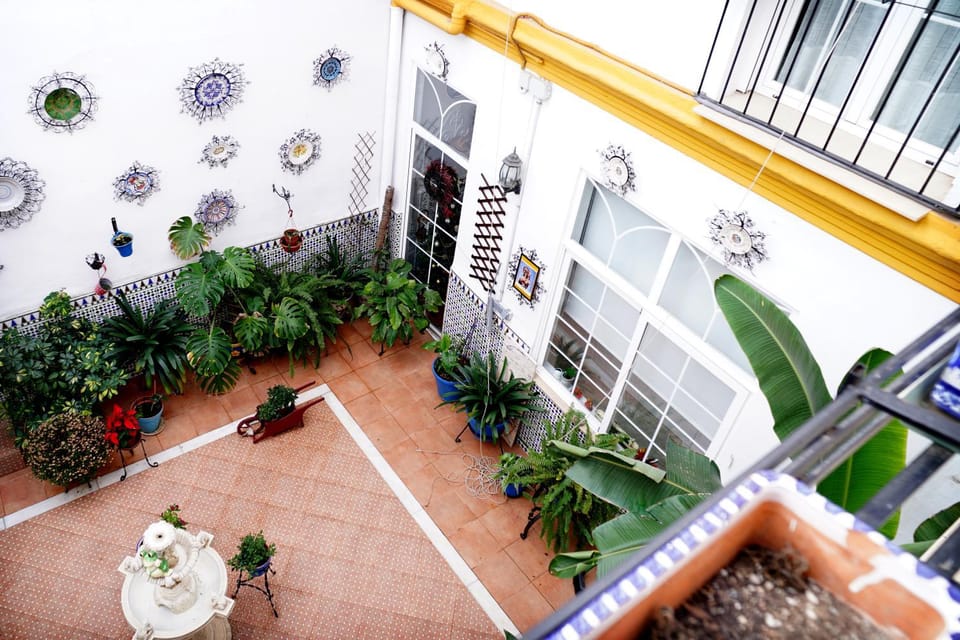 Garden view
