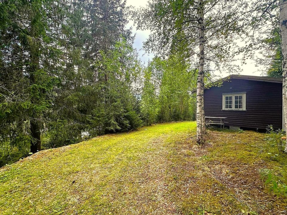 Property building, Spring, Day, Natural landscape, Garden, Garden view