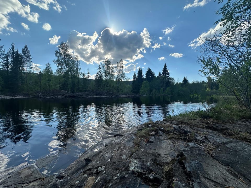 Spring, Day, Natural landscape, Fishing, Garden, River view