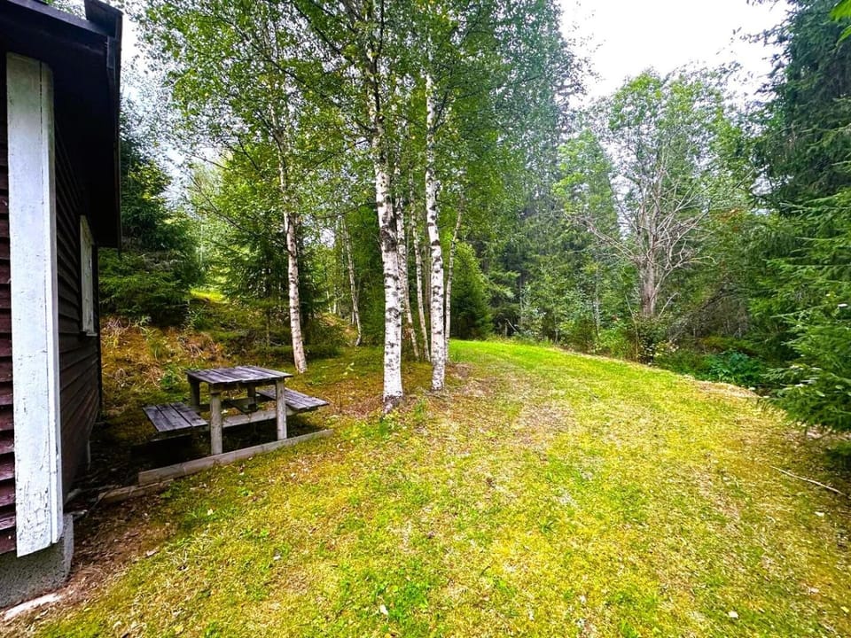 Spring, Day, Natural landscape, Garden, Garden view