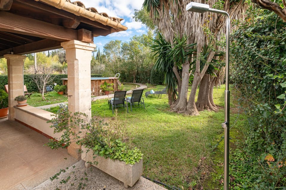 Patio, Garden, Garden view