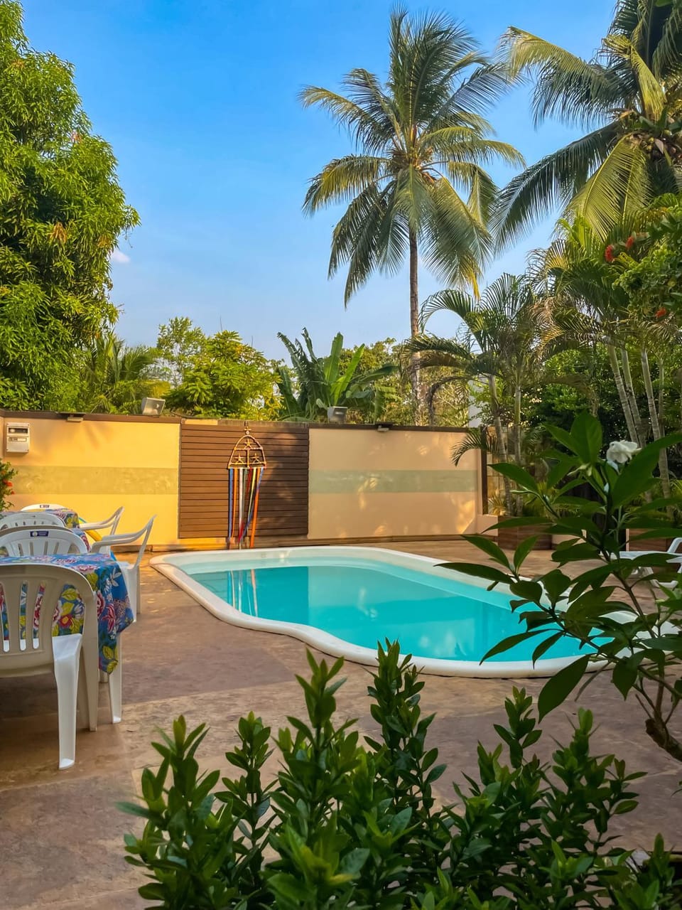 Patio, Day, Natural landscape, Garden, Garden view, Pool view, Swimming pool, Swimming pool, sunbed