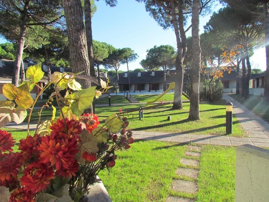 Garden view
