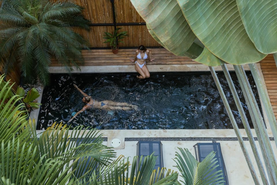 People, Natural landscape, Garden, Garden view, Pool view, Swimming pool, group of guests