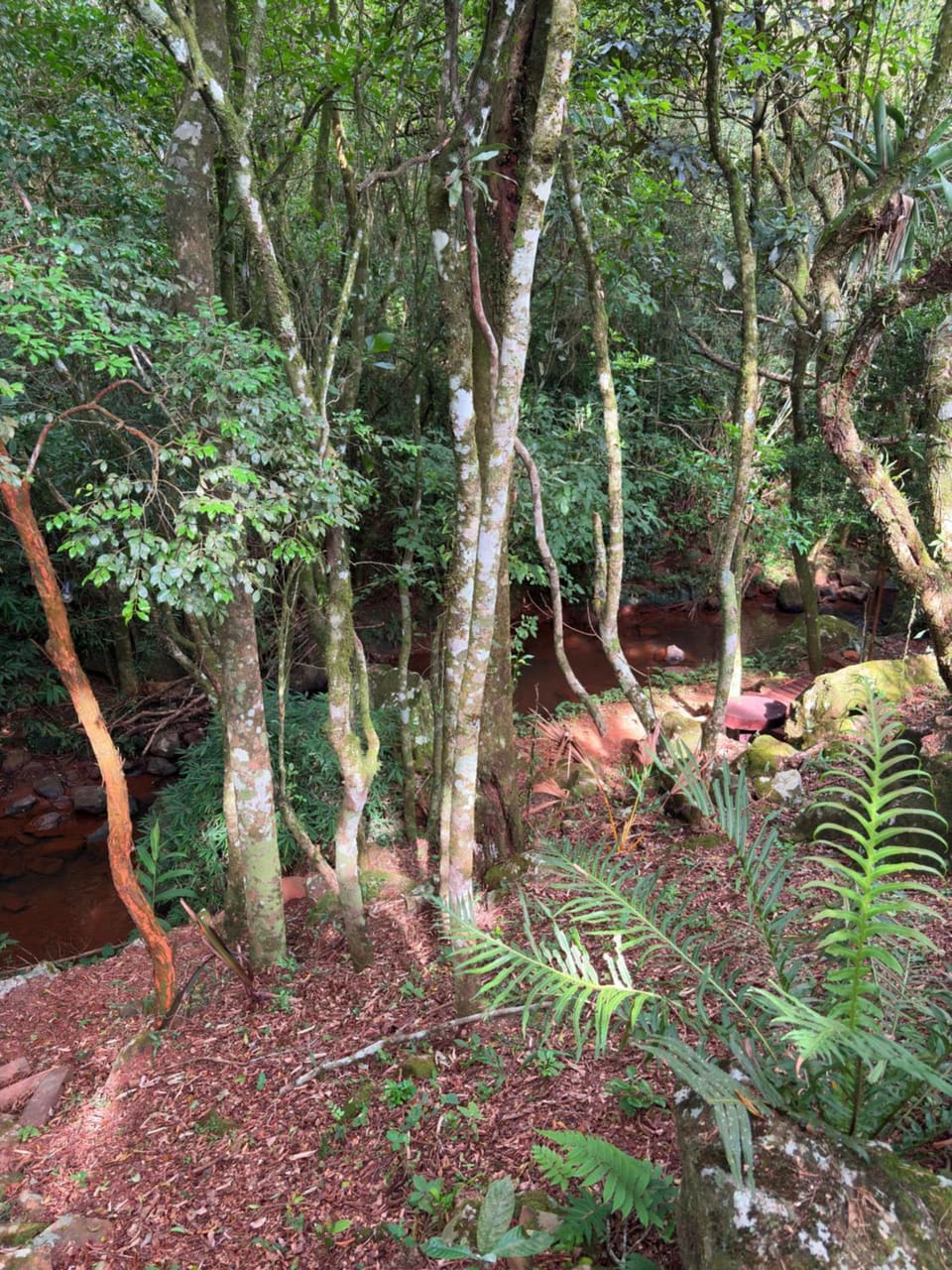 Natural landscape, Garden