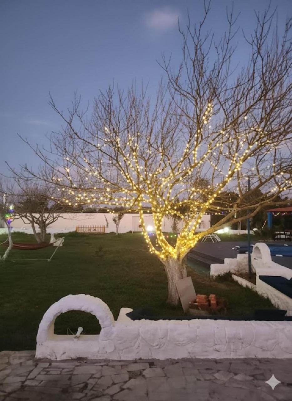 Villa Mabrouka Bed and Breakfast in Tunisia
