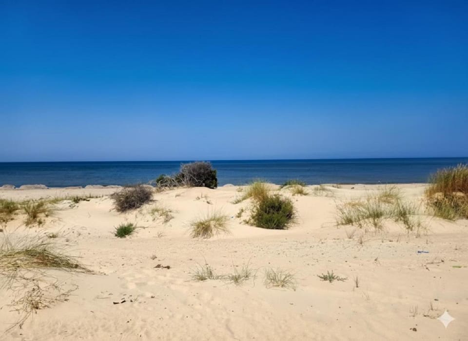 Villa Mabrouka Bed and Breakfast in Tunisia