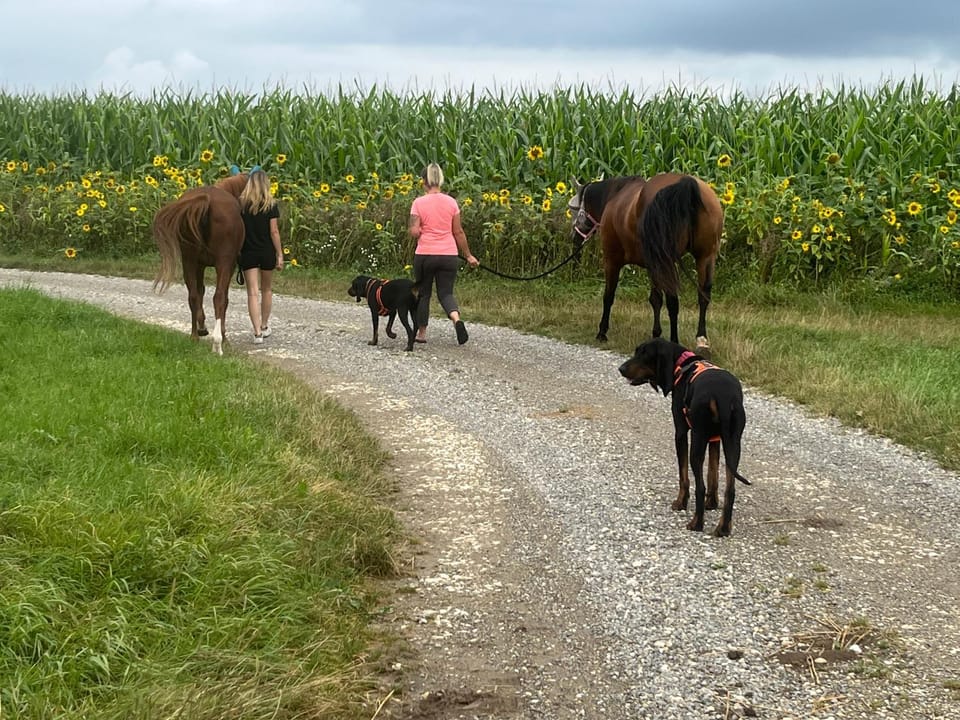 Horse-riding
