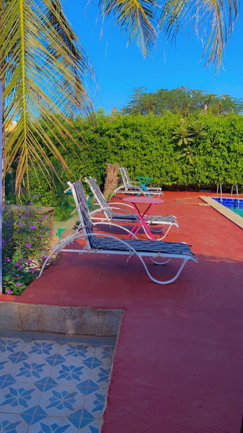 Day, Pool view, Swimming pool, Swimming pool