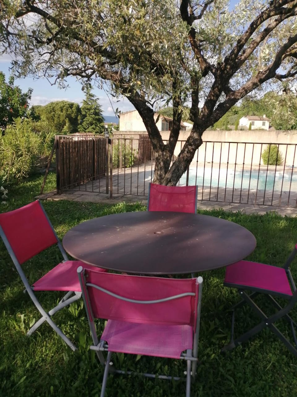 Spring, Day, Garden, Dining area, Garden view