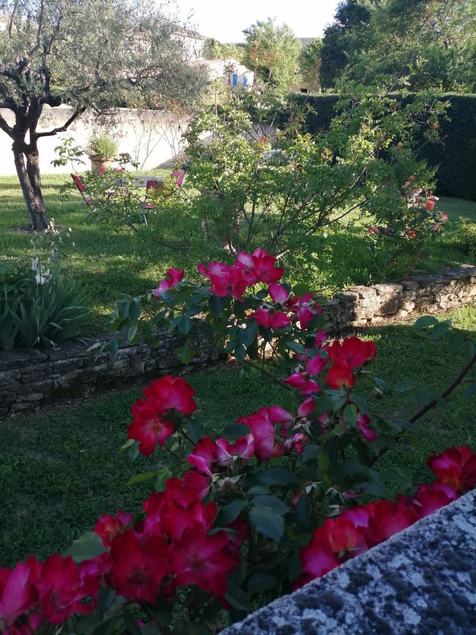 Spring, Day, Natural landscape, Garden, Garden view