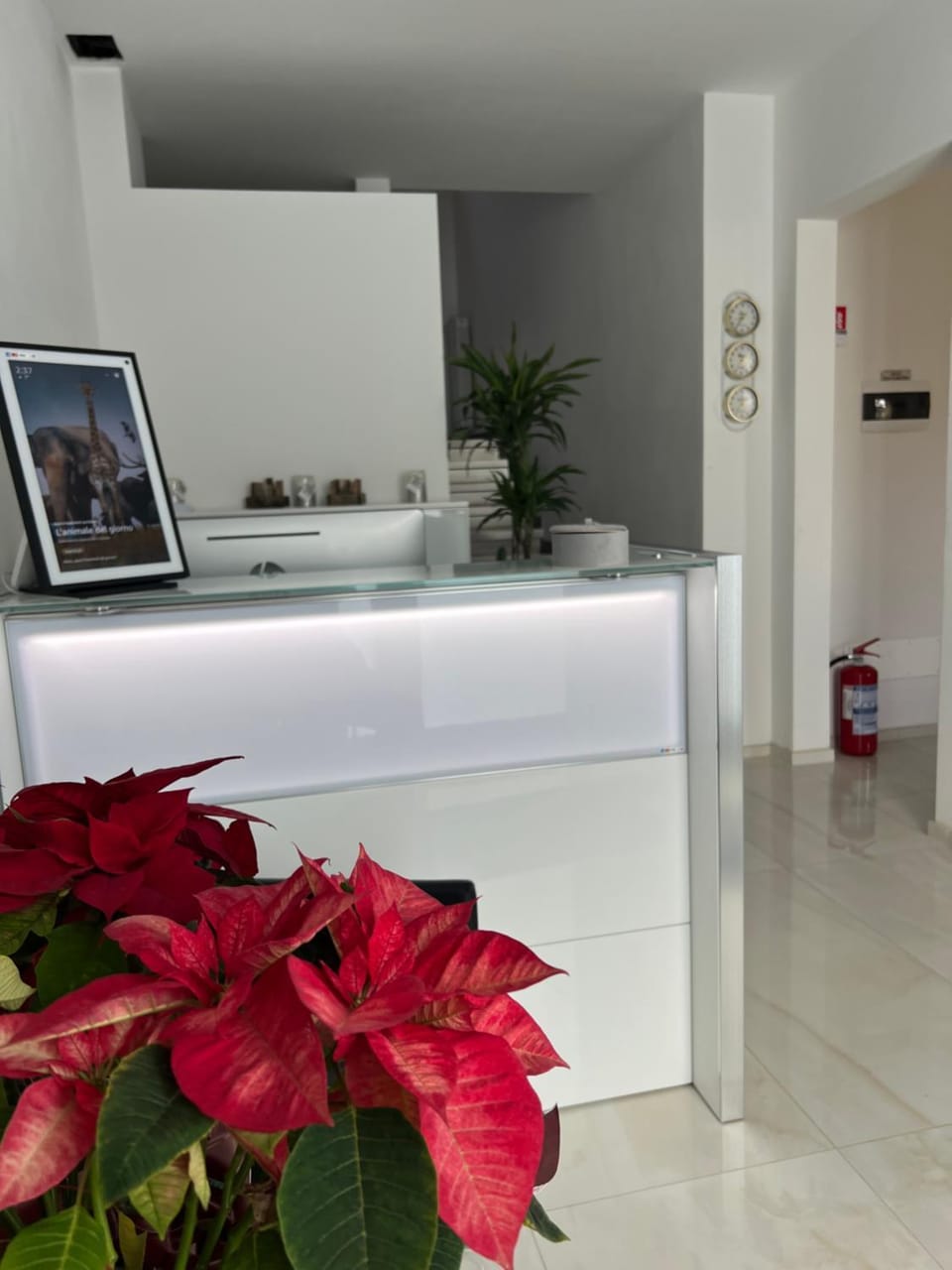 Lobby or reception
