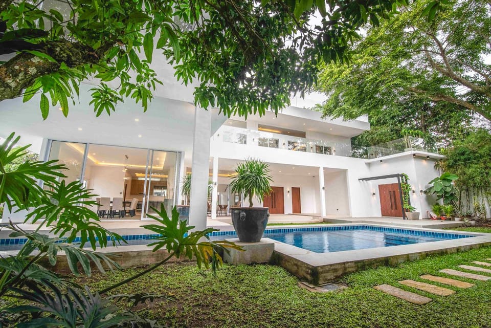 Property building, Garden, Pool view, Swimming pool, sunbed