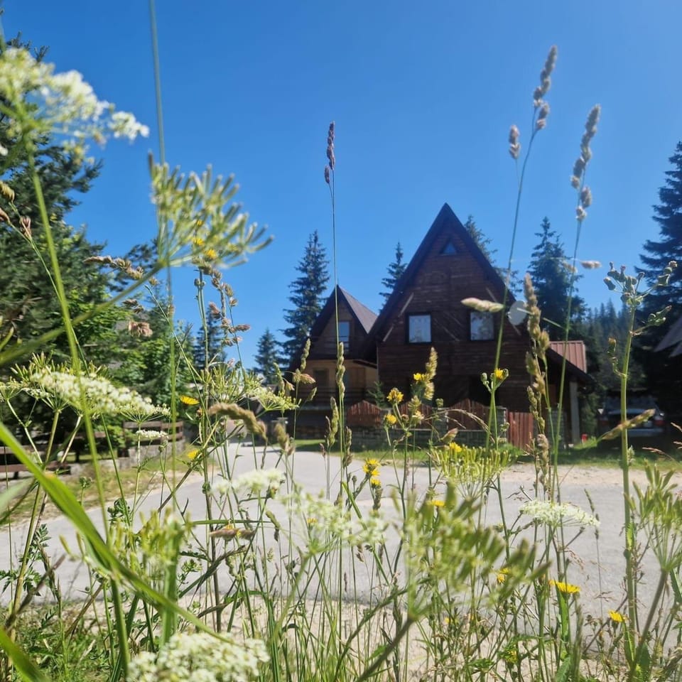 Endži Halal Villa 3BR Vlašić Oaza mira Family Friendly No Alcohol in Villa House in Federation of Bosnia and Herzegovina